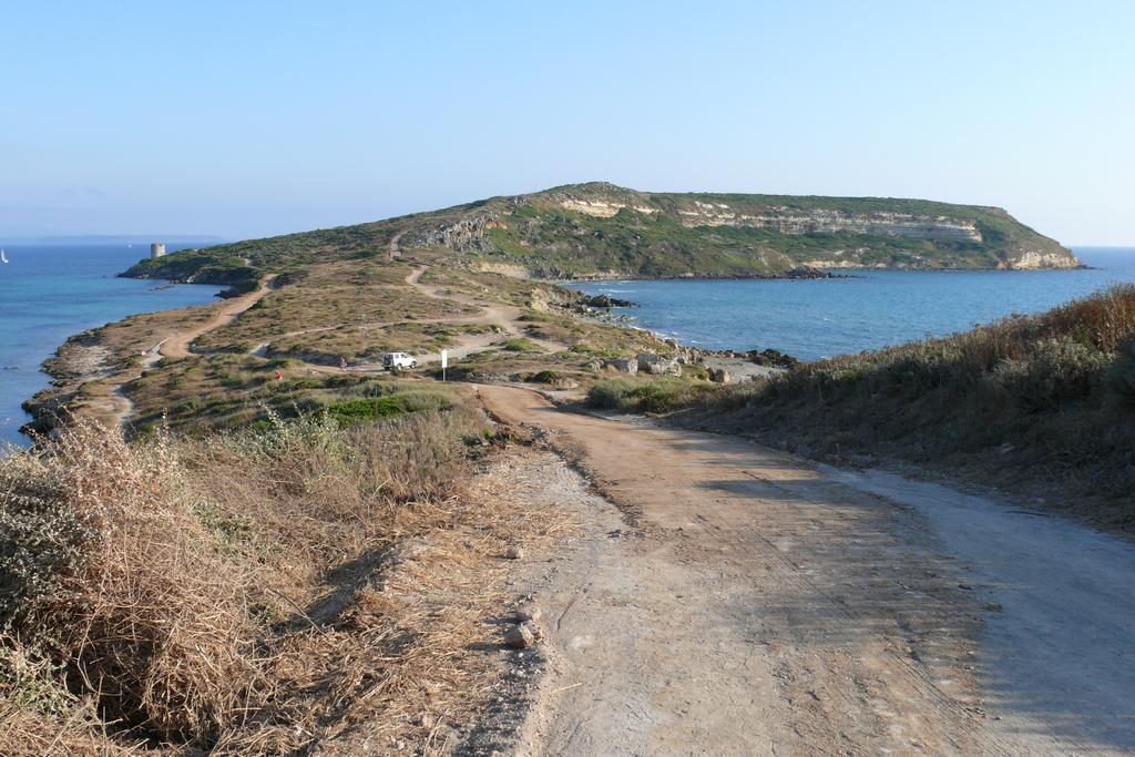 B&B Il Mirto Oristano Dış mekan fotoğraf