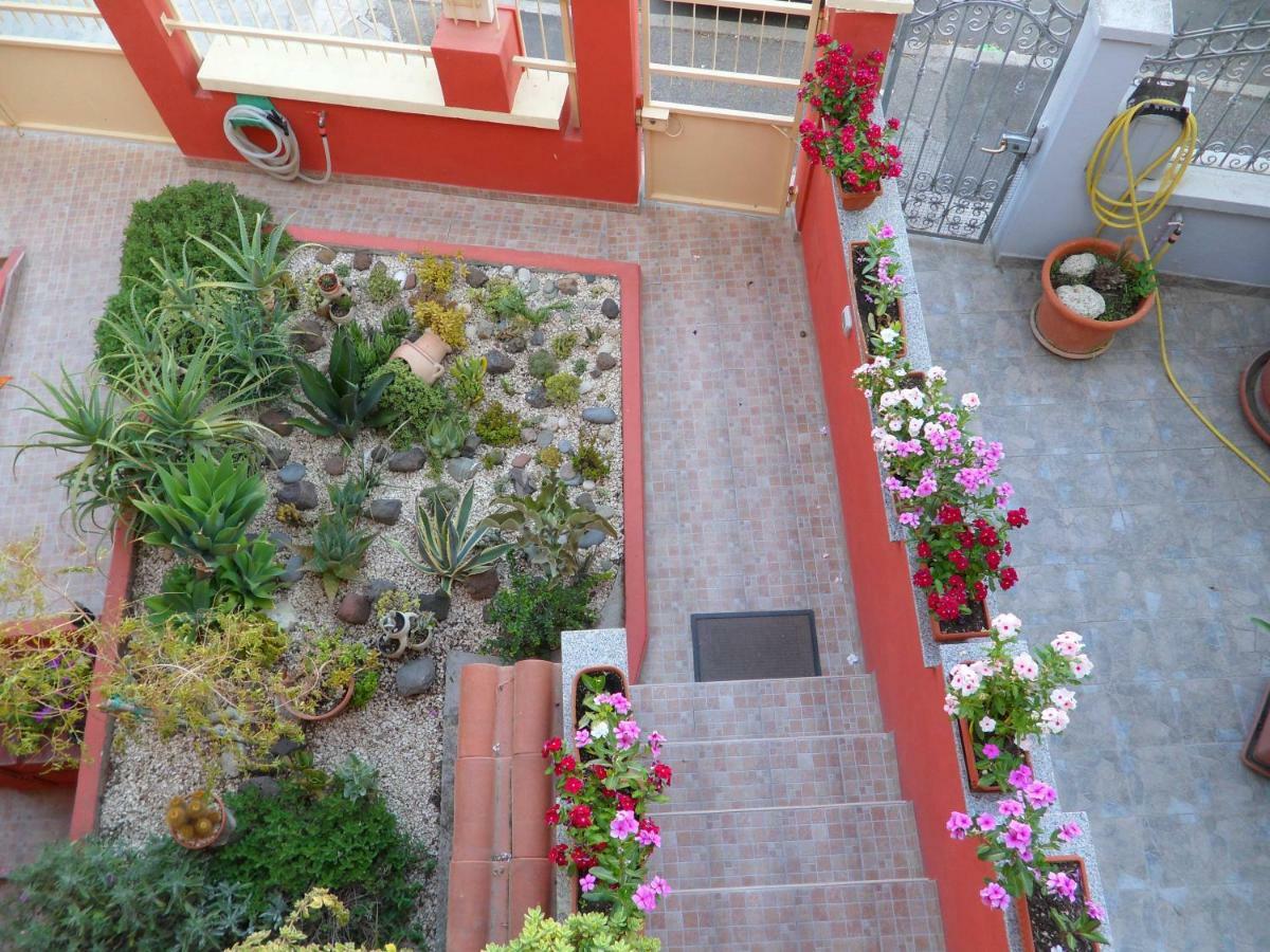 B&B Il Mirto Oristano Dış mekan fotoğraf
